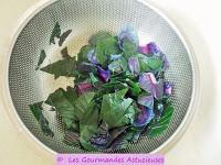 Chou rouge braisé et Boulgour au Champignon (Vegan)