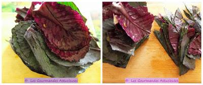 Chou rouge braisé et Boulgour au Champignon (Vegan)