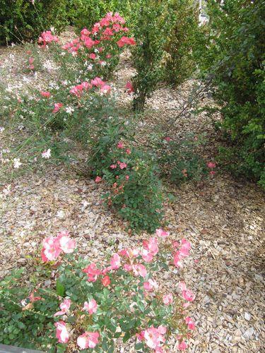 La France - en passant par là