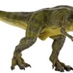 image de t-rex