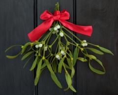 gui, mistletoe, noël, christmas, bouquet, décoration