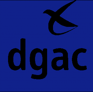1030px-DGAC.svg