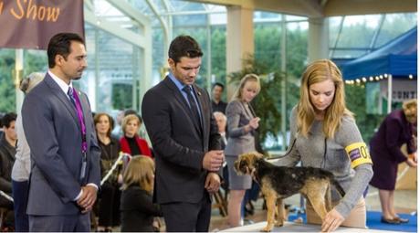 Découvrez les toutes premières images de l'adaptation TV de Mr Darcy What Else de Teri Wilson