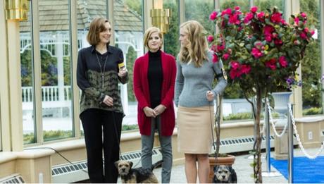 Découvrez les toutes premières images de l'adaptation TV de Mr Darcy What Else de Teri Wilson