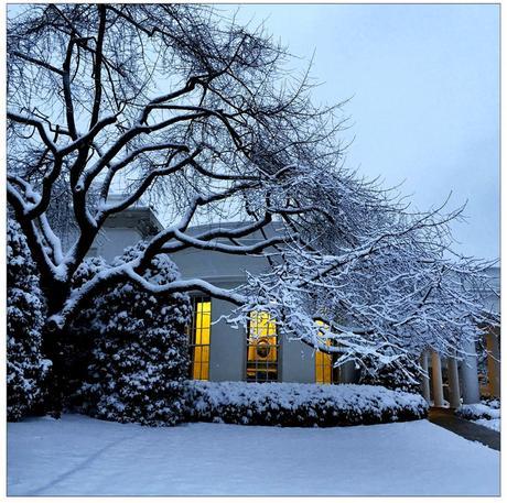 Une année à la Maison Blanche vue par l’objectif du iPhone