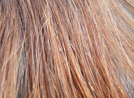 Une chevelure de princesse en quelques clips !