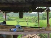 Balade dans les rizères de Langgahan avec Made Ocong - Balisolo (18)