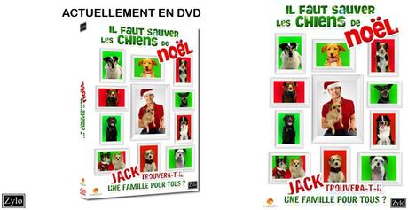 chiens de noelconcours