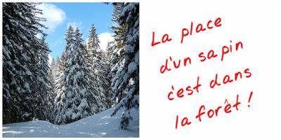 Un sapin dans la forêt