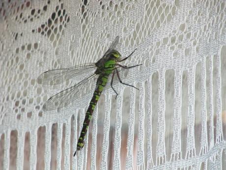 La France - un jour de ballade