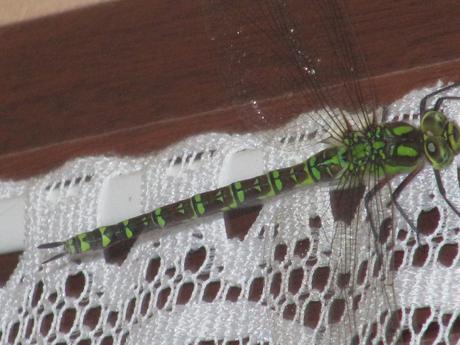 La France - un jour de ballade