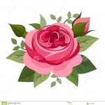 illustration de rose
