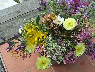 Solidarité dans la vigne