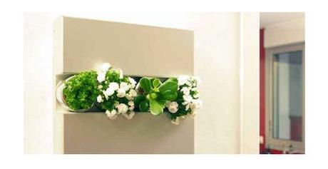 flowerbox Du nouveau en déco écolo …
