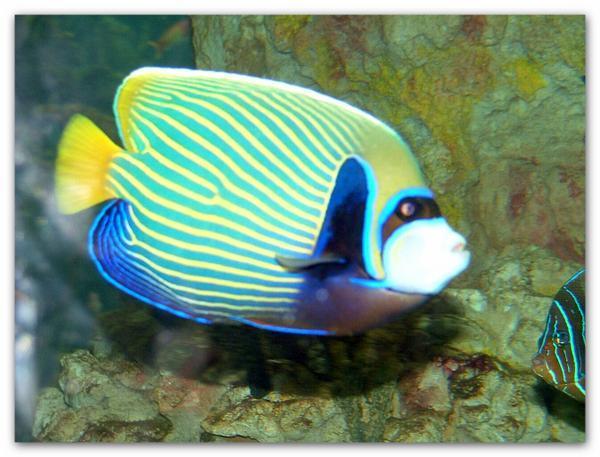 Un monde en bouteille