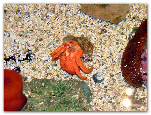 Un monde en bouteille