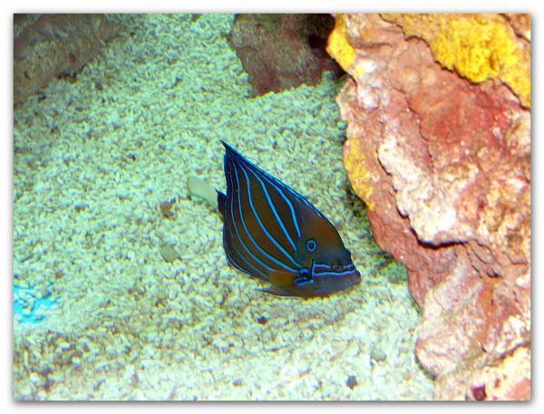 Un monde en bouteille