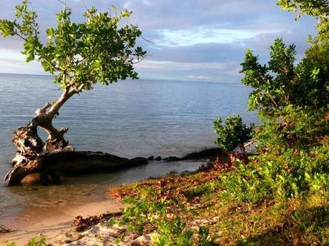 Le charme discret de Mananara