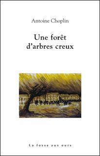 Une forêt d'arbres creux