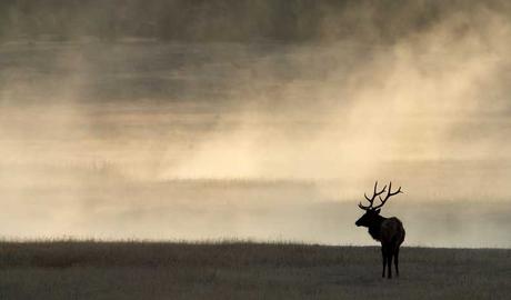 Afficher l'image d'origine