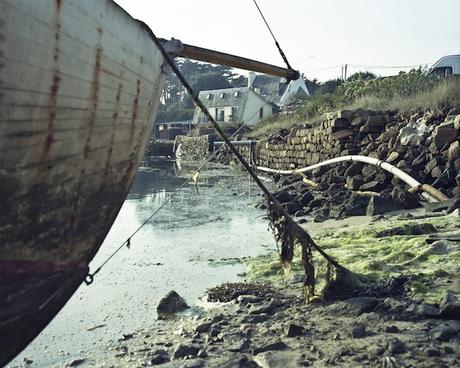 Les huîtres bataillent contre l’industrialisation