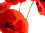 Coclicos (communautaristes, clientélistes, communicants)