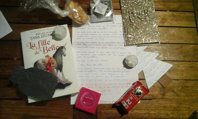 Swap des Princesses Rebelles Paillettées