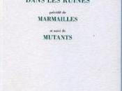 Dans ruines, recueil Jean-Pierre Thuillat