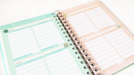 Agenda girly pour 2016 !  by Mr Wonderful