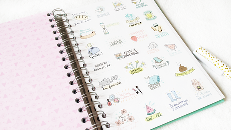 Agenda girly pour 2016 !  by Mr Wonderful