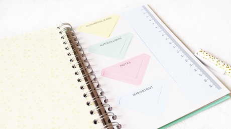 Agenda girly pour 2016 !  by Mr Wonderful