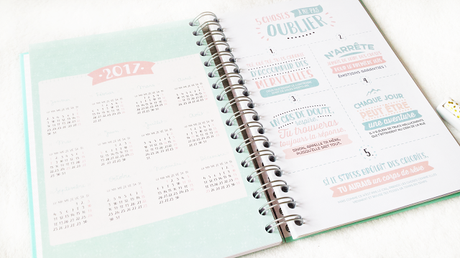 Agenda girly pour 2016 !  by Mr Wonderful