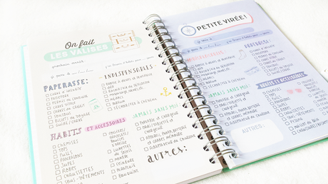 Agenda girly pour 2016 !  by Mr Wonderful