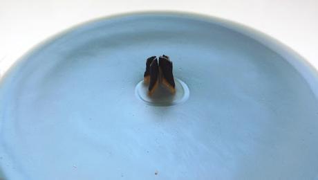 ❆ Tag ❆ Mes Chouchous pour l'Hiver ❆