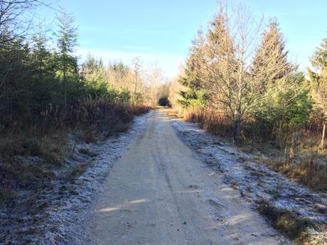 Matin glacial dans le Forez