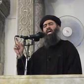 Muslims around the world respond brilliantly to Isis leader's call to arms