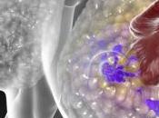 CANCER SEIN: L'espoir conjugués anticorps-médicament Science Translational Medicine