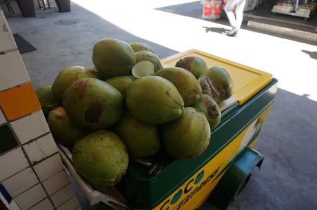 Colors of Brazil chloeschlothes-brazil