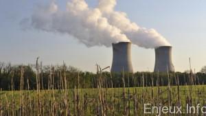 Afrique du Sud: le projet d’extension du parc nucléaire fait débat
