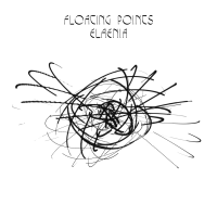 Floating Points {Elaenia}