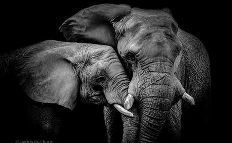 Calendrier de l’avent #4