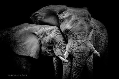 Calendrier de l’avent #4