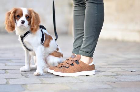 Bye Bye 2015 Bye Bye 2015