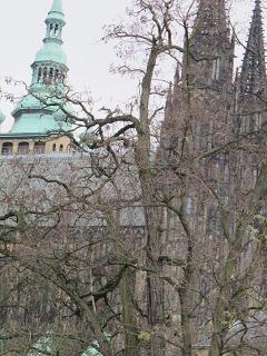 Notre voyage à Prague/  Wiplash /Bonne année à vous toutes et tous/Videos à toi de Lise Bellynck et frédéric aspisiet Michel Fau !!! et le Best Off du Studio Bagel