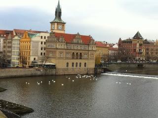 Notre voyage à Prague/  Wiplash /Bonne année à vous toutes et tous/Videos à toi de Lise Bellynck et frédéric aspisiet Michel Fau !!! et le Best Off du Studio Bagel