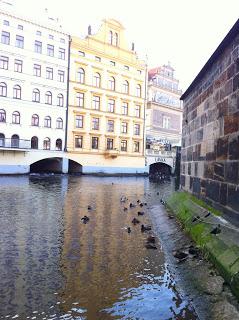 Notre voyage à Prague/  Wiplash /Bonne année à vous toutes et tous/Videos à toi de Lise Bellynck et frédéric aspisiet Michel Fau !!! et le Best Off du Studio Bagel