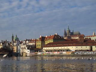 Notre voyage à Prague/  Wiplash /Bonne année à vous toutes et tous/Videos à toi de Lise Bellynck et frédéric aspisiet Michel Fau !!! et le Best Off du Studio Bagel