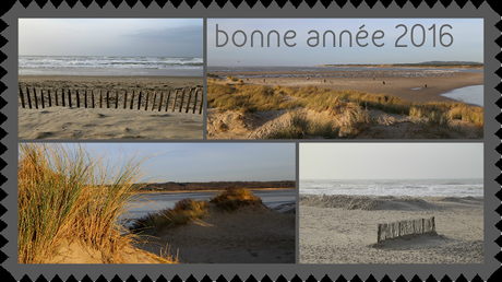 Très bonne année 2016