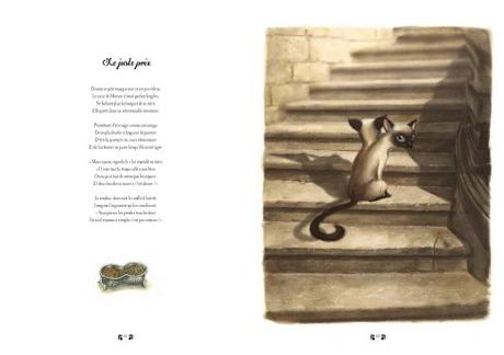 Facéties de chats de S. Perez et B. Lacombe