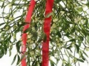 nouvelle année commence